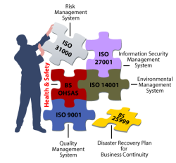 international management systems